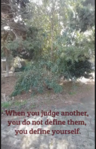 Thoughts on this weekend's gospel - 16/02/2025
