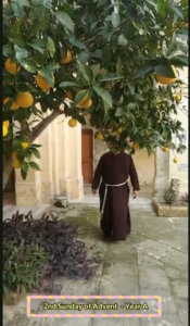 Thoughts on this weekend's gospel - 23/11/2025