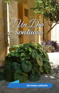 Thoughts on this weekend's gospel - 23/11/2025